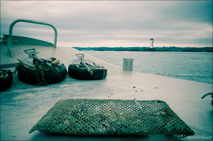 photo d'une poche à huître prise sur une barge ostréicole en baie de paimpol