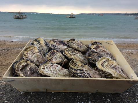 Acheter des huitres partout en France en direct du producteur